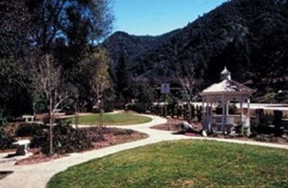 Cedar Lodge2