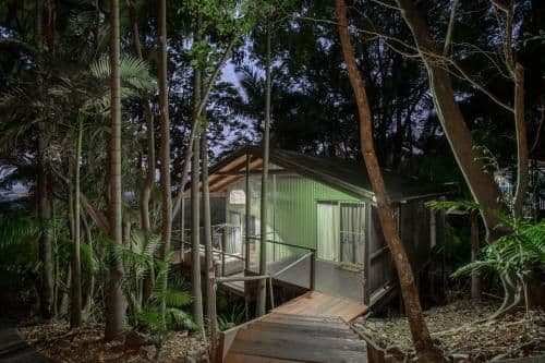One-Bedroom Tree House