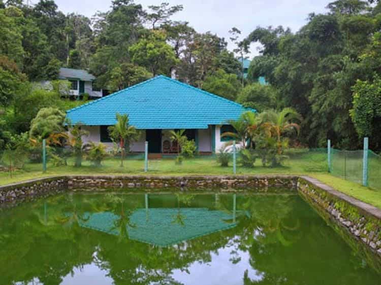 Orchard Holiday Resort