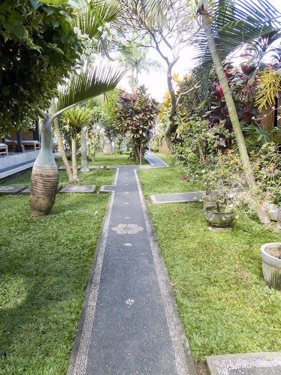 Citrus Tree B&B - Darta3