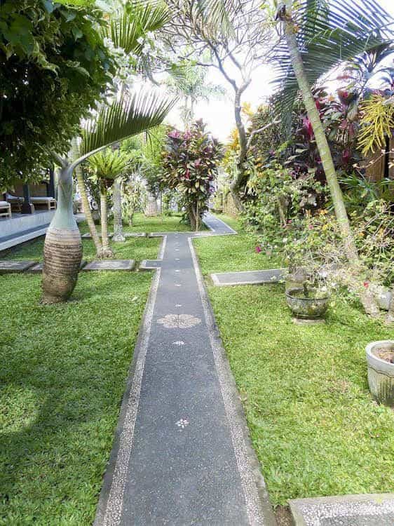 Citrus Tree B&B - Darta Citrus Tree B&B - Darta