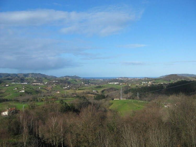 Kostegi0