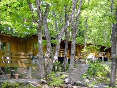ฮากุบะ รีสอร์ท โฮเทล ลาแนจ ฮิกาชิกัน (Hakuba Resort Hotel La Neige Higashikan)1