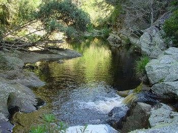 Clairewood3