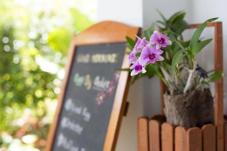 Ideo Phuket Hotel Ideo Phuket Hotel