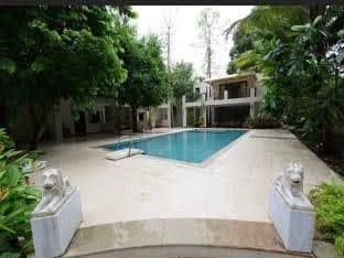 Mango Beach House Mango Beach House