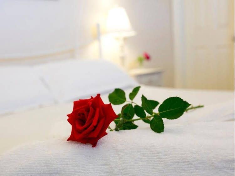 Newcastle's Bed & Breakfast1