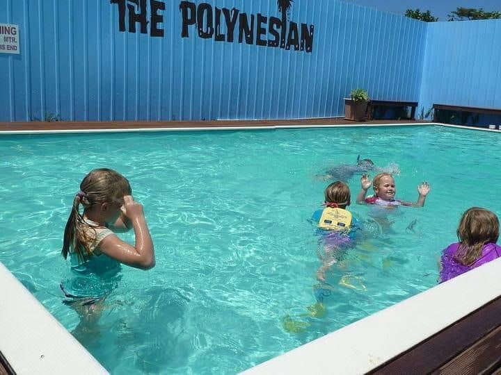 The Polynesian Apartments The Polynesian Apartments