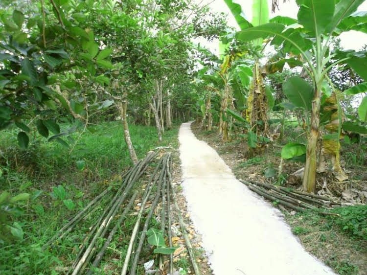 Green Village Homestay1