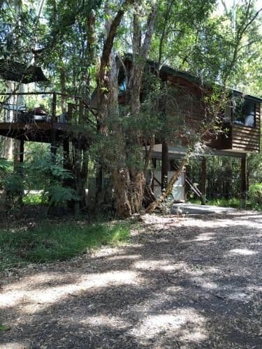 Tree House Studio