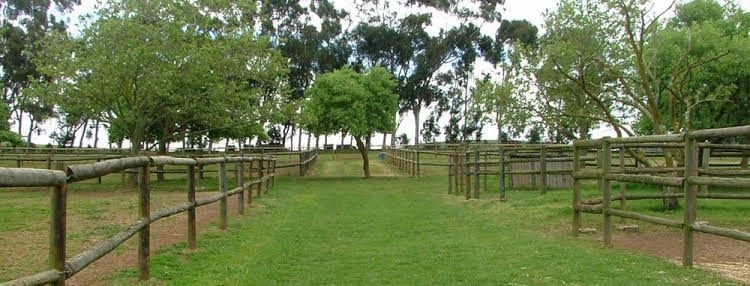 Alba Guest Farm3