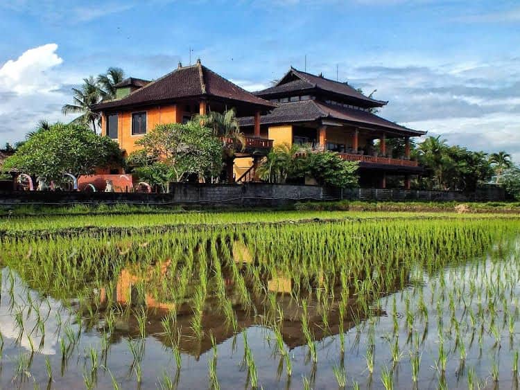 วิลล่า มันดาลา เดซา บูทิก รีสอร์ต วิลล่า มันดาลา เดซา บูทิก รีสอร์ต