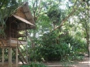 Khao Sok Valley Lodge0