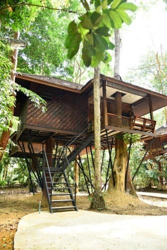 Tree House (4 Adults)