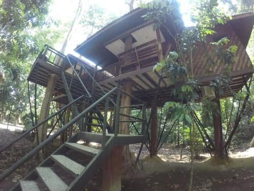 Tree House (4 Adults)