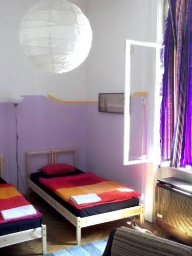 NattyDog Hostel0