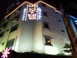 Q Motel Q Motel