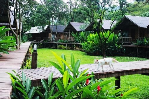 เขาสก คาบานา รีสอร์ท (Khao Sok Cabana Resort)0