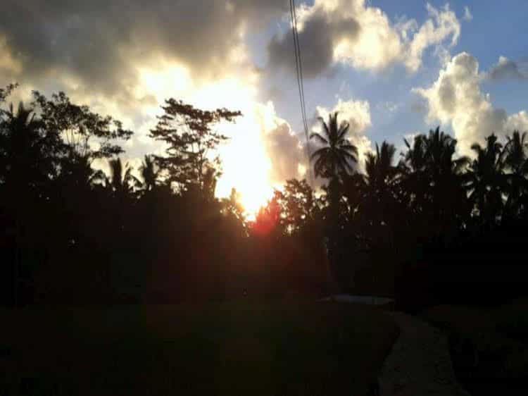 Ujung Ubud Guesthouse Ujung Ubud Guesthouse