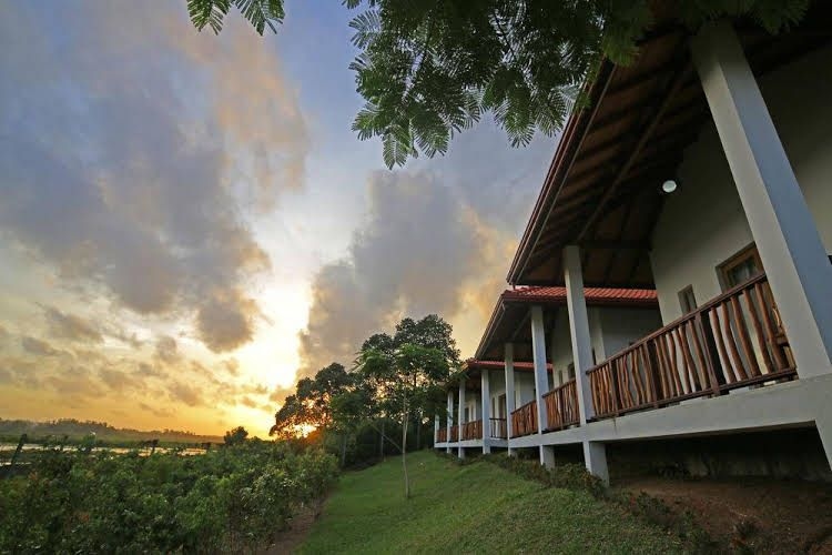 Oriole Villa4