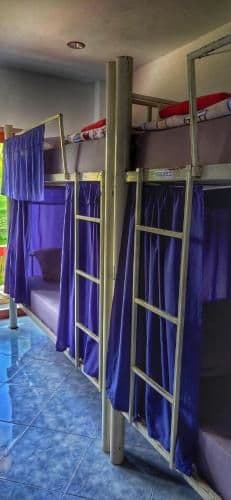 Bunk Bed in Mixed Dormitory Room with Air Conditioning