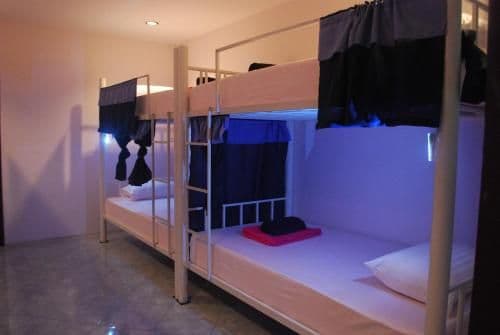 Bunk Bed in Mixed Dormitory Room with Air Conditioning