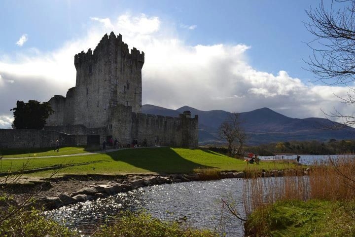 Paddy's Palace2