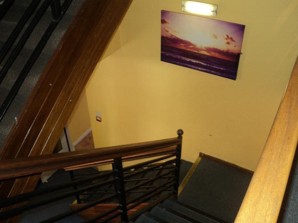 Paddy's Palace3