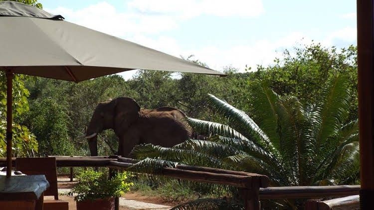 Baluleni Safari Lodge0