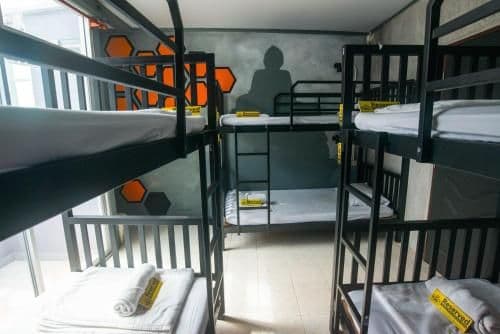Family Room (6-Bunk Bed)