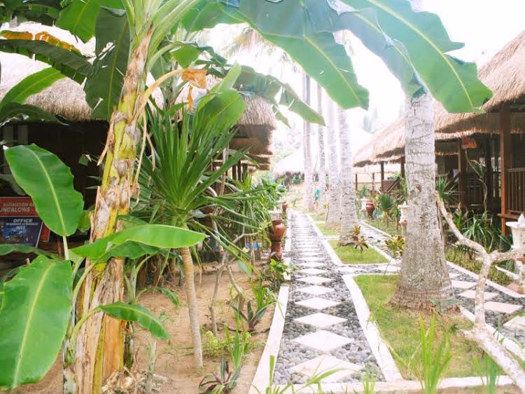 Mushroom Bay Villas Hut0