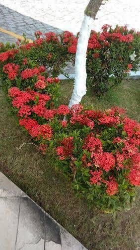 Apart Hotel Litoral Sul Apart Hotel Litoral Sul