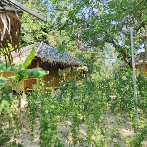 Cottage with Garden View