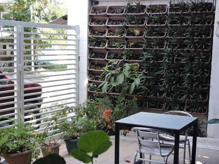 Orange Mangrove Pension House1