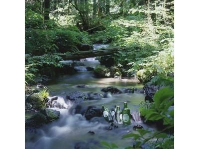 Auberge Blanche Fuji1