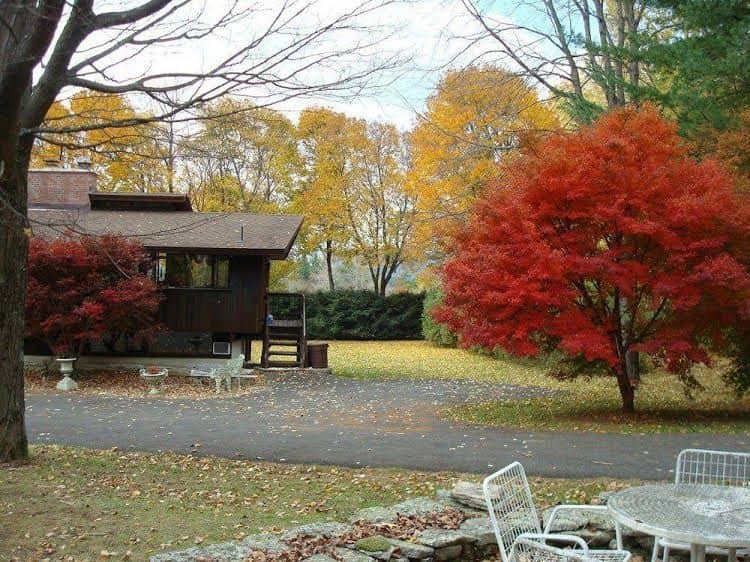 The Cottage The Cottage