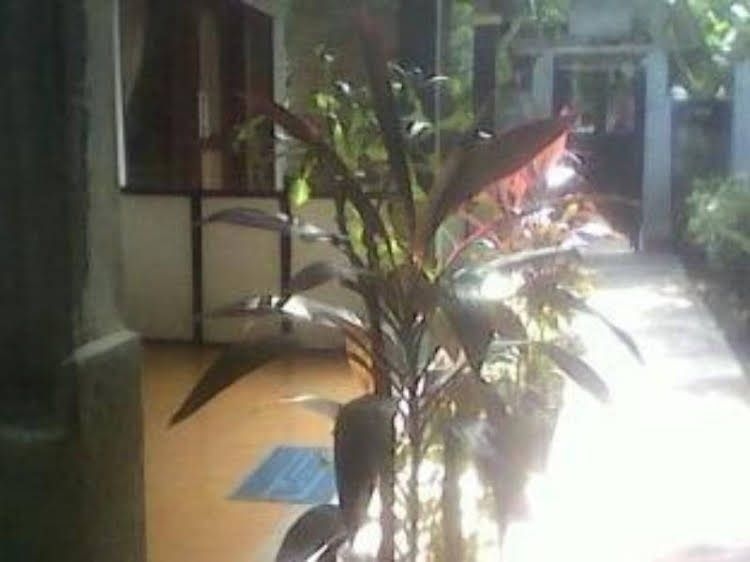 Pitara Cottage0