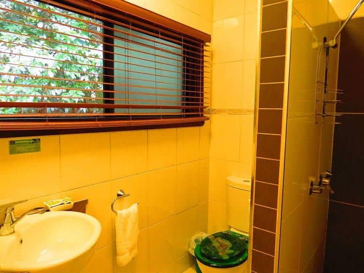 Daintree Rainforest Retreat Motel Daintree Rainforest Retreat Motel