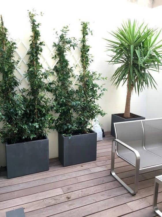 Appartements Urban et Pure Appartements Urban et Pure