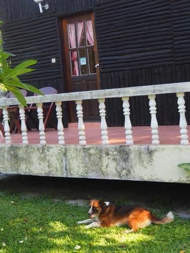 Bungalow with King size bed