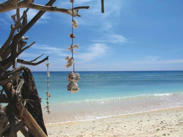 Trawangan Oasis0