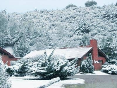 Green House2