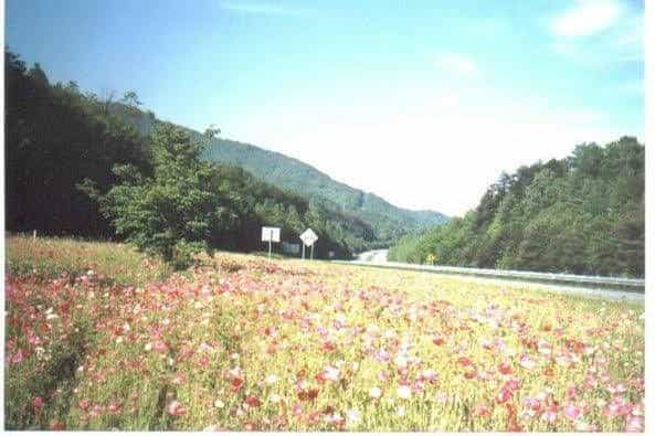 Riverbend Lodging
