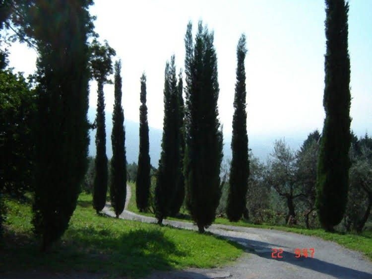 Agriturismo Le Colonne0