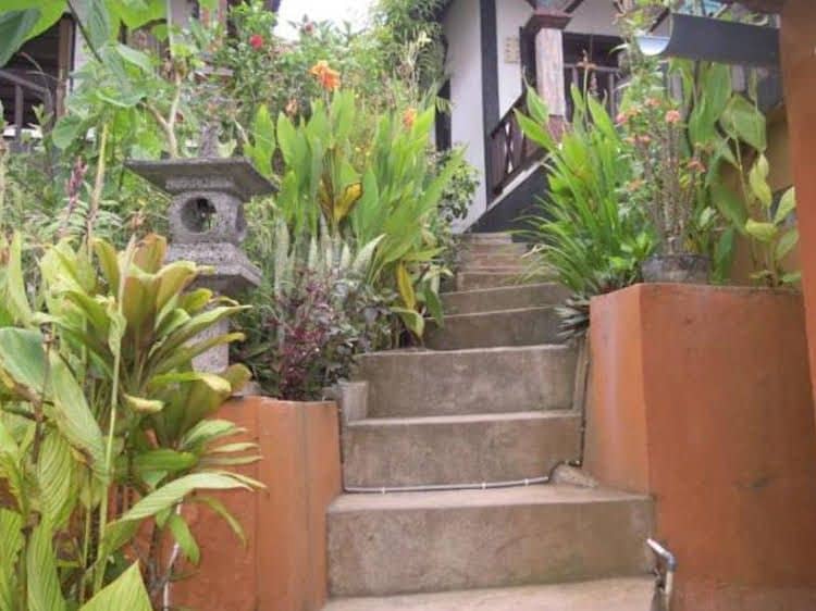 Miss You Homestay Miss You Homestay