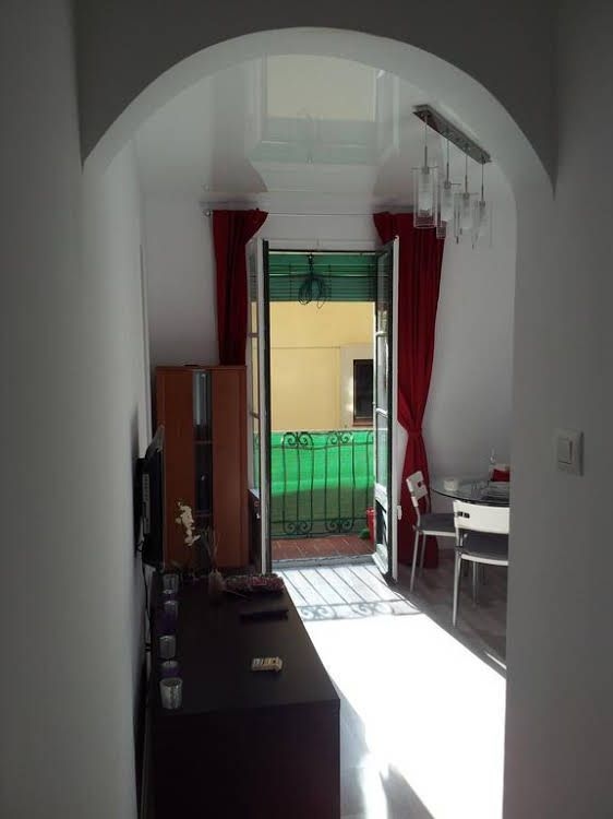 Apartamentos Alejandro0