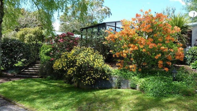 Mokoia Downs Estate B&B1