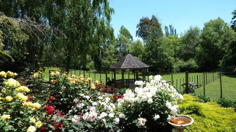 Mokoia Downs Estate B&B0