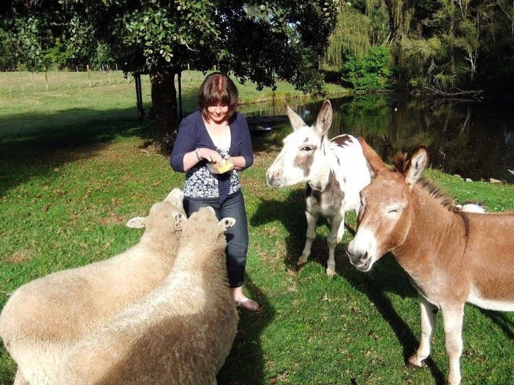 Mokoia Downs Estate B&B4