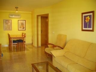 Larimarapt2